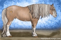 Horse Color:Black Pearl Sabino and Silver Black Pearl Sabino