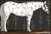 Horse Color:Silver Brown Roan Near Leopard 