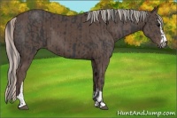 Horse Color:Black Sabino  and Silver Black Sabino 