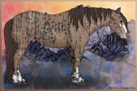 Horse Color:Black Sabino  and Classic Champagne Sabino 