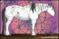 Horse Color:Black Sabino 