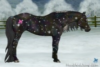Horse Color:Midnight Silver Black Sabino and Midnight Black Sabino