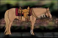 Horse Color:Chestnut Sabino
