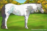 Horse Color:Nacre Black Ice Tobiano 