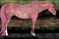 Horse Color:Watercolor Liver Chestnut Ice Sabino 