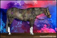 Horse Color:Nacre Bay Ice Dun