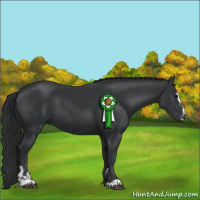 Horse Color:Black Sabino  and Black Sabino 