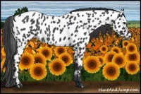 Horse Color:Blue Roan Sabino Leopard 