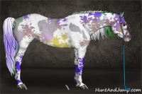 Horse Color:Watercolor White Spotted Bay Dun Sabino Rabicano  and Watercolor Brown Sabino Splash Rabicano 