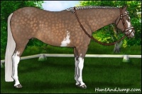 Horse Color:White Spotted Silver Buckskin 