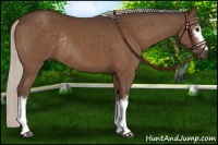 Horse Color:White Spotted Silver Brown Rabicano