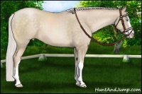 Horse Color:Silver Buckskin Pearl Sabino 