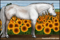 Horse Color:Gray Bay 