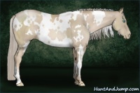 Horse Color:White Spotted Chocolate Palomino Pearl 