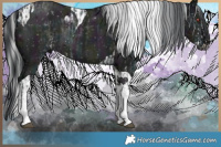 Horse Color:White Spotted Midnight Silver Black Chinchilla and Midnight Grullo Chinchilla Tobiano