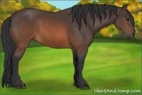 Horse Color:Brown 