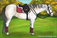 Horse Color:White Spotted Bay Dun Rabicano  and White Spotted Bay Dun Rabicano 