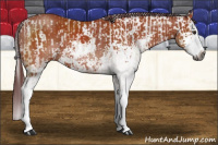 Horse Color:Gray Chocolate Bay Sabino  and Chocolate Bay Sabino Splash 