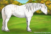 Horse Color:Smoky Creme Sabino  and Perlino Sabino 