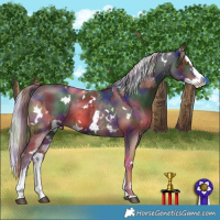 Horse Color:Nacre White Spotted Liver Chestnut Sabino  and Nacre White Spotted Silver Brown Sabino Splash 