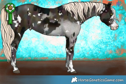 Horse Color:White Spotted Midnight Liver Chestnut Mushroom Sabino  and White Spotted Midnight Chocolate Palomino Pearl Mushroom Sabino 