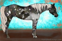 Horse Color:White Spotted Midnight Liver Chestnut Sabino  and White Spotted Midnight Chocolate Palomino Pearl Sabino 