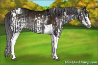 Horse Color:White Spotted Midnight Bay Onyx Splash Rabicano  and White Spotted Midnight Liver Red Dun Onyx Tobiano Rabicano 