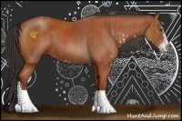 Horse Color:Brown Sabino  and Bay Sabino 