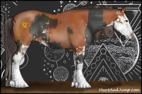 Horse Color:Liver Chestnut Sabino  and Bay Sabino Splash 