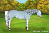Horse Color:Silver Bay Chinchilla Dun Splash