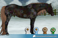 Horse Color:Midnight Liver Chestnut Ice Rabicano 
