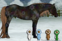 Horse Color:Midnight Liver Chestnut Ice Rabicano 