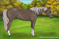 Horse Color:Silver Black 