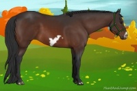 Horse Color:Brown Frame 