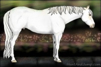 Horse Color:White Spotted Palomino Splash Frame