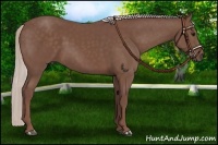 Horse Color:Chocolate Silver Black Rabicano 
