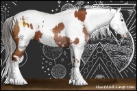 Horse Color:Brown Sabino  and Bay Sabino Splash 