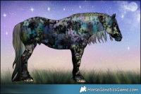 Horse Color:ERROR: UNKNOWN ANOMALY and ERROR: UNKNOWN ANOMALY