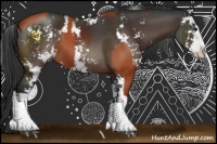 Horse Color:Bay Sabino  and Brown Sabino 