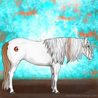 Horse Color:White Spotted Red Dun Rabicano  and White Spotted Red Dun Rabicano 