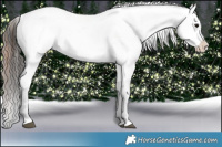 Horse Color:Bay Sabino Appaloosa  and Brown Sabino Tobiano Appaloosa 