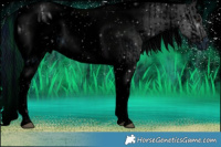 Horse Color:ERROR: UNKNOWN ANOMALY and ERROR: UNKNOWN ANOMALY