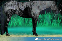Horse Color:ERROR: UNKNOWN ANOMALY and ERROR: UNKNOWN ANOMALY