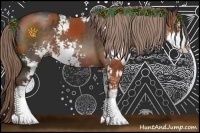 Horse Color:Bay Sabino  and Liver Chestnut Sabino