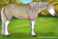 Horse Color:Silver Smoky Grullo Sabino Splash Rabicano