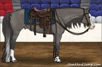 Horse Color:Grullo Splash Appaloosa