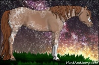 Horse Color:Chestnut Ice 