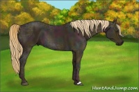 Horse Color:Midnight Chestnut Ice