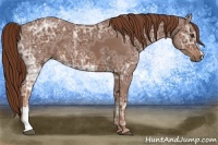 Horse Color:Chestnut Ice 