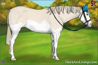 Horse Color:Perlino Splash